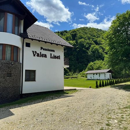 Pensiunea Valea Lisei Lisa Exterior photo