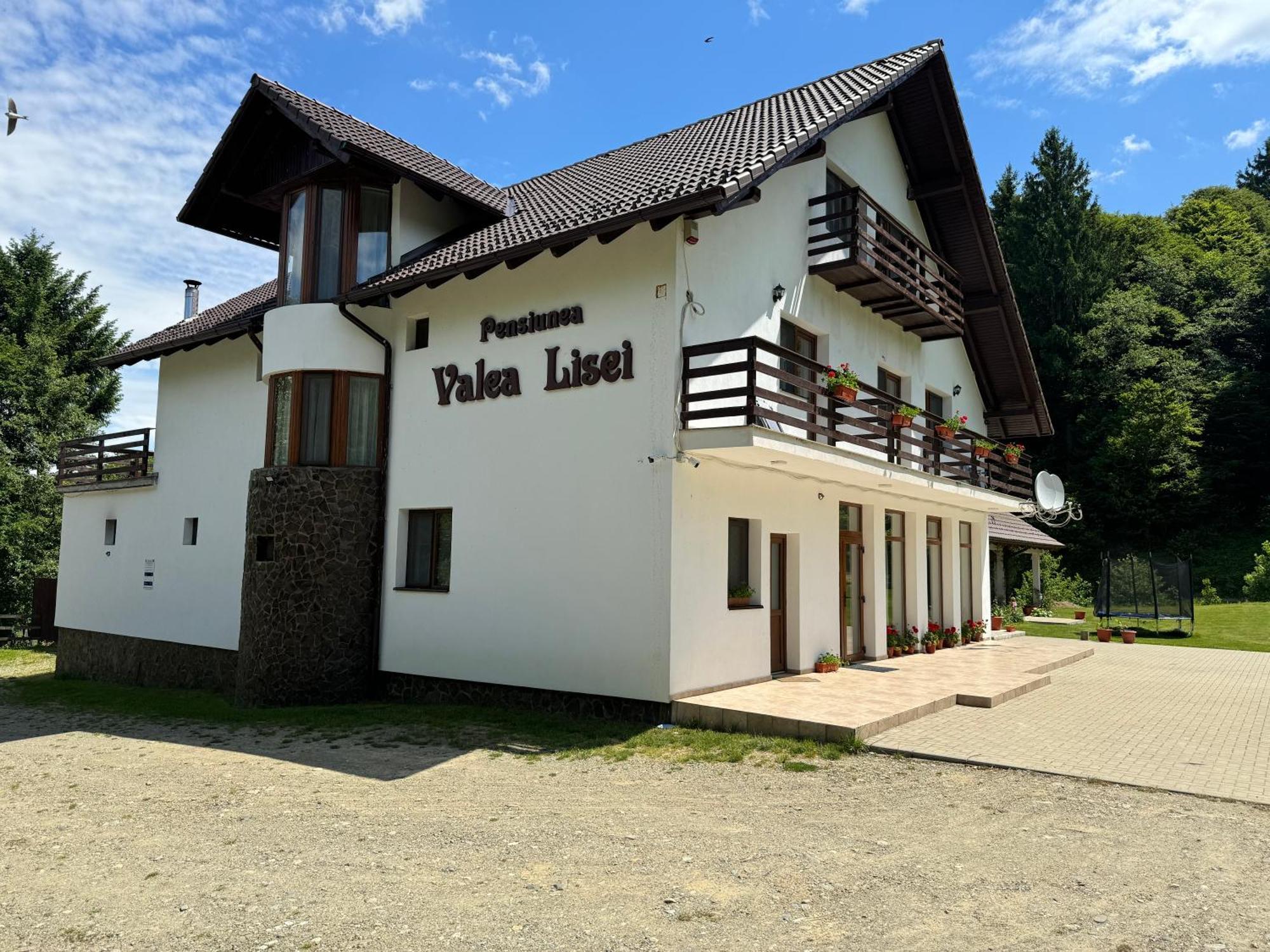 Pensiunea Valea Lisei Lisa Exterior photo
