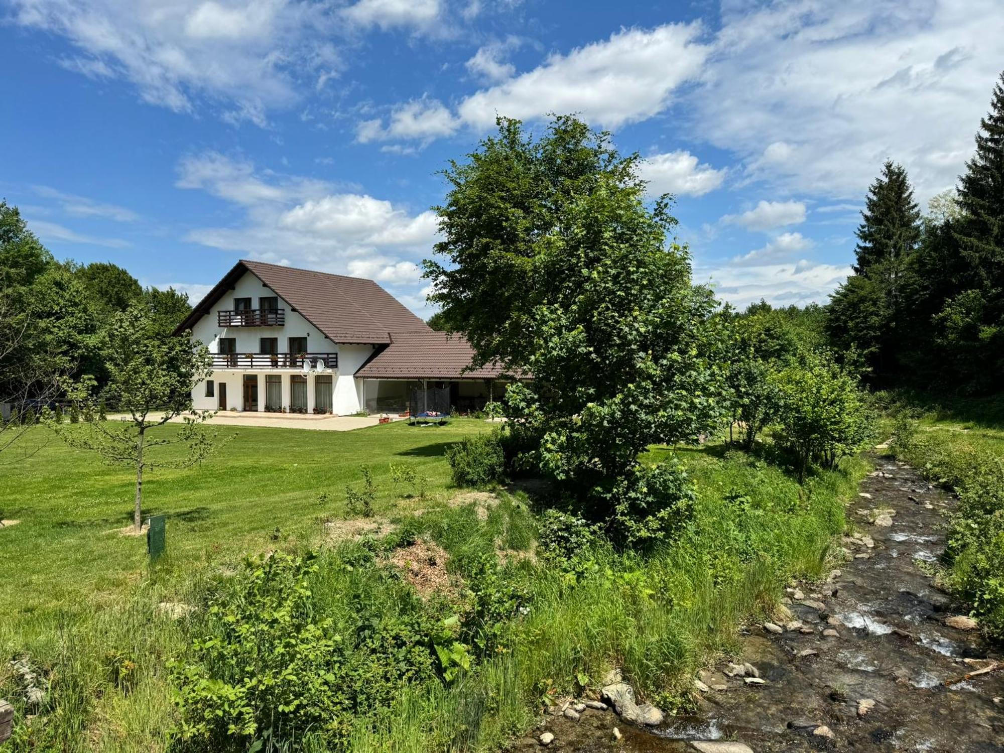 Pensiunea Valea Lisei Lisa Exterior photo