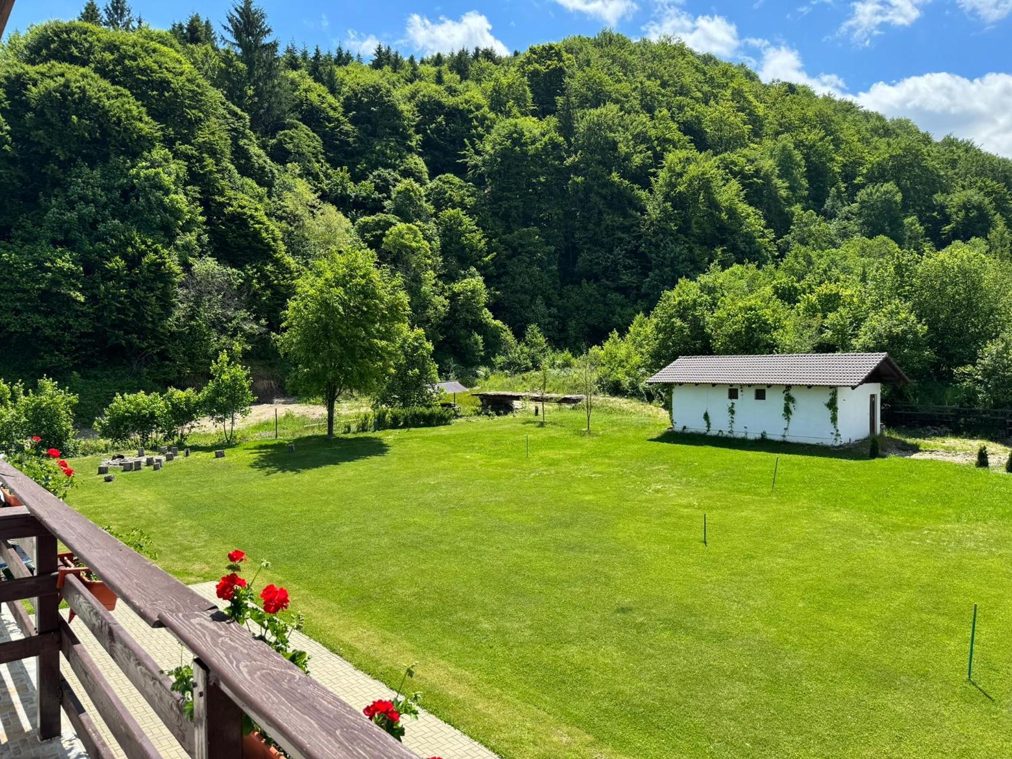 Pensiunea Valea Lisei Lisa Exterior photo